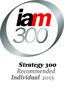 Strategy 300_Individual 2015