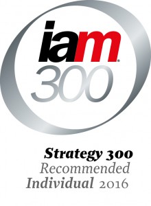 IAM Strategy 300 2016 